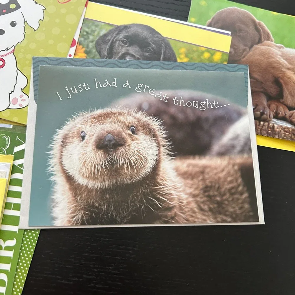 Mixed Lot of 35 Greeting Cards w/ Envelope Dogs Puppies Cats Kittens and Birds